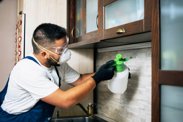 Best Affordable Pest Control Services  in Oak Creek, WI